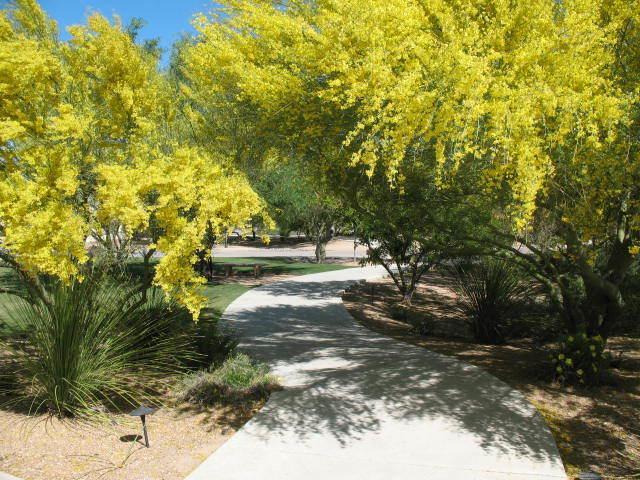 Desert Sol Bed & Breakfast Tucson Luaran gambar